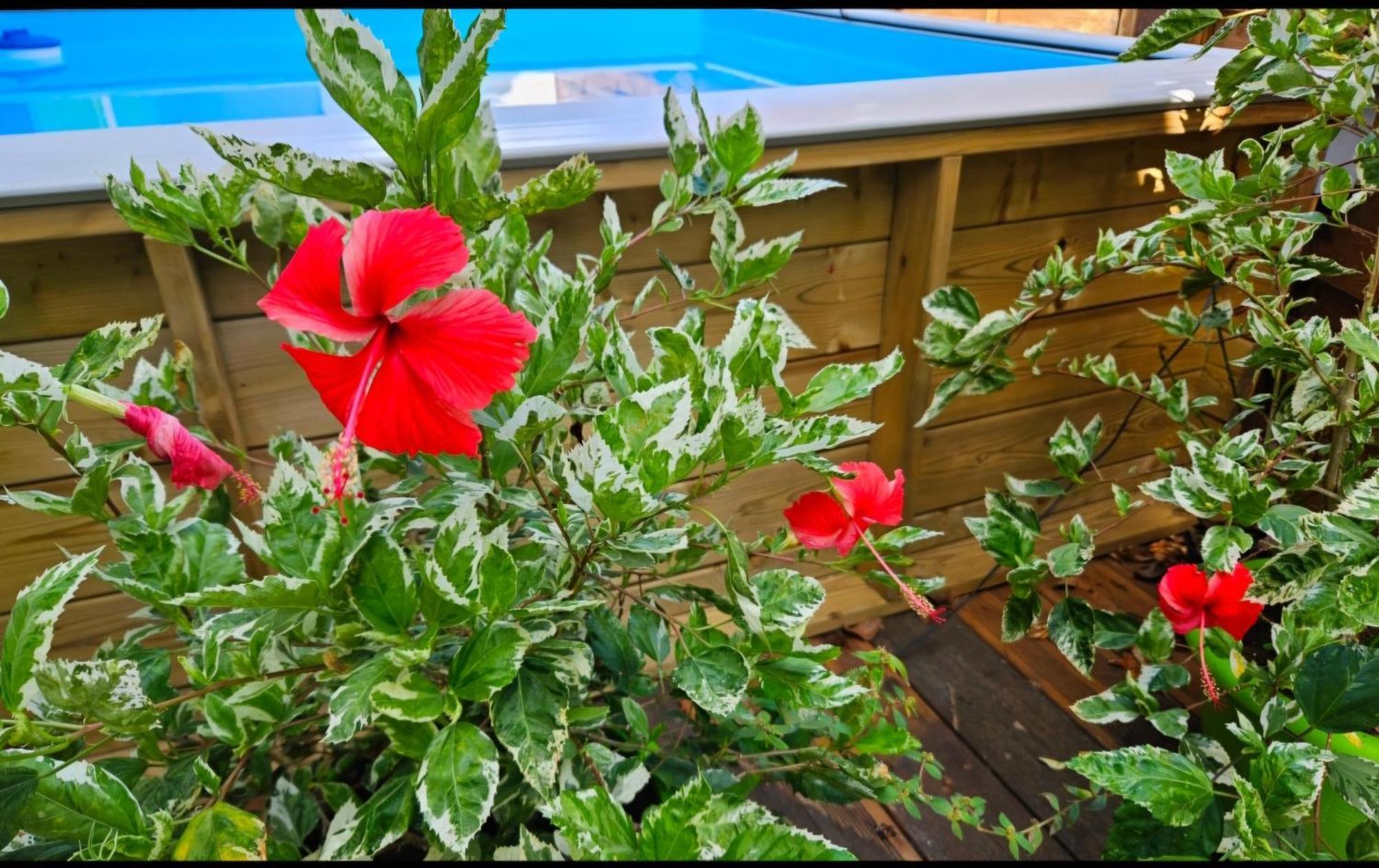 Gite Rubis Passion Port-Louis Exterior photo
